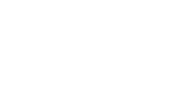 exclusive partner